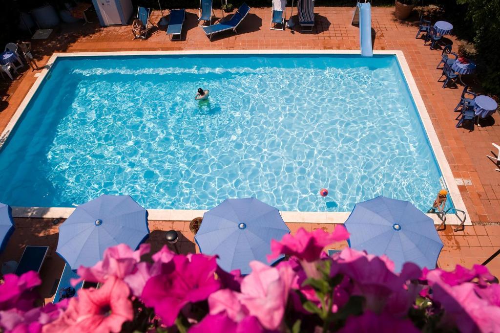 Hotel Leuco' Martinsicuro Εξωτερικό φωτογραφία